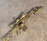IMG_1340 AR10 custom build