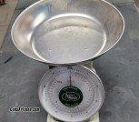 Scale