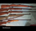 Rifle/Shotgun Lot for Sale