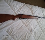 Revelation Arms Bolt 12ga