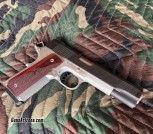 Springfield Armory Ronin 10mm Checkered Frontstrap