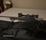 Remington 783 .308