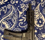 Smith & Wesson m&p15 22p 