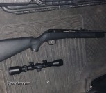 Savage .22lr