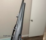 IMG_0253