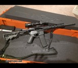 Ruger AR .556/.223 with vortex optic 