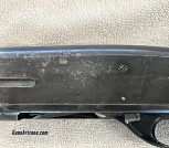 IMG_1244