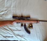 Ruger 10/22 with Scope