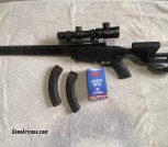 Ruger Precision 22 LR with Leupold Mount and Vortex Crossfire II Scope