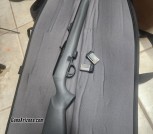 remington 597 .22 with 3 mags