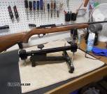 Ruger 10/22