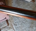1000059491