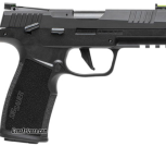 Sig P22 TB (4)