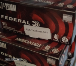 Ammo (1)