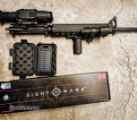 Night/Day scope with 556 20'
