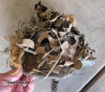 M81 Woodland PASGT Military Helmet
