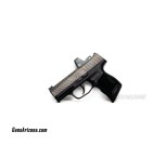 SIG / ZEV Z365 9MM