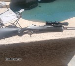 Mini 14 with rails and vortex scope 