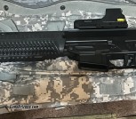 Sig Sauer 5.56