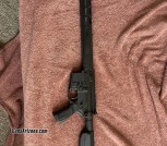 Sig 320