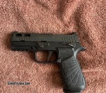 Sig 320