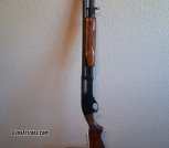 Shotgun two