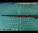 IMG_6228