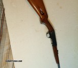 Remington Model 24 .22lr