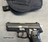 Sig Sauer P229 Equinox 40 S&W