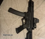 Palmetto Tate armory ar-v 9mm