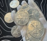 SilverEagles1