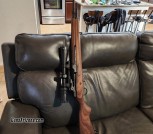Springfield m1a 