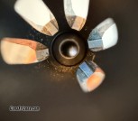 IMG_1670