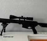 AR10 - 308 & p365 fuse