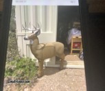 FULL-RUT BUCK TARGET by GlenDel