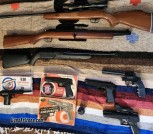airgun collection