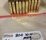 66 ONCE FIRED 300 WIN MAG CASES