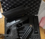 Grayguns upgraded p30s