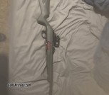 Winchester wildcat