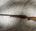 Crosman Blaze XT .177 Caliber Air Rifle – Nitro Piston, Hardwood Stock