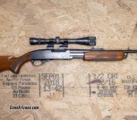 Remington gamemaster pump action .270