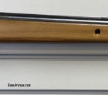 Benjamin Titan Powered By Nitro .22 Cal. 5.5mm Pellet
