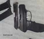 Ruger ec9s