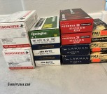 380 auto ammo