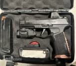 Sig P365 Radian build 