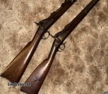 Two Springfield trapdoor rifles
