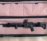 Sig Rose M400