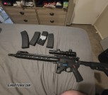 AR 15 