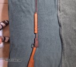 InterArms/Rossi 62 SA  .22 caliber 