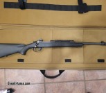 Ruger Gunsite Scout 308, lot of extras